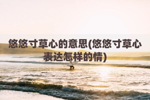 悠悠寸草心的意思(悠悠寸草心表达怎样的情)