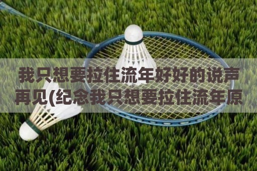我只想要拉住流年好好的说声再见(纪念我只想要拉住流年原唱)