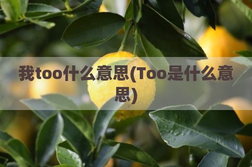 我too什么意思(Too是什么意思)
