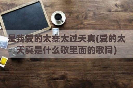 是我爱的太蠢太过天真(爱的太天真是什么歌里面的歌词)