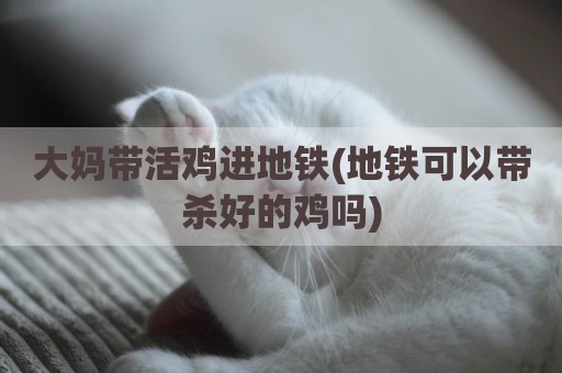大妈带活鸡进地铁(地铁可以带杀好的鸡吗)
