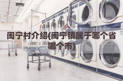 闽宁村介绍(闽宁镇属于哪个省哪个市)
