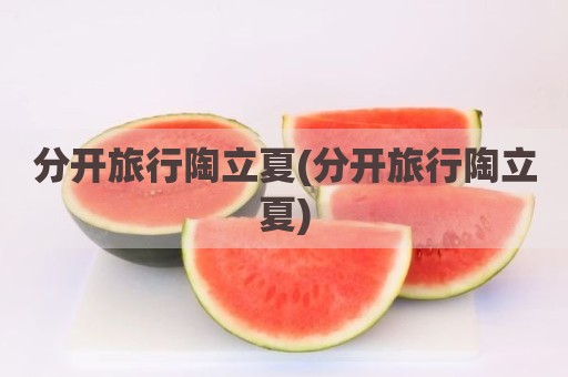 分开旅行陶立夏(分开旅行陶立夏)