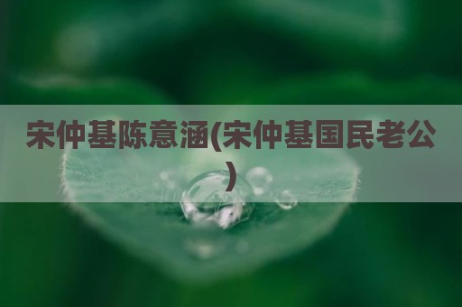 宋仲基陈意涵(宋仲基国民老公)