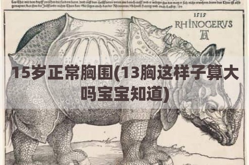 15岁正常胸围(13胸这样子算大吗宝宝知道)