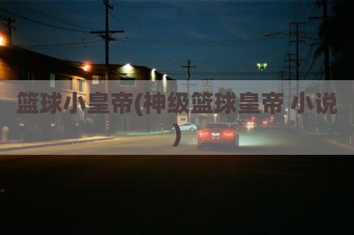 篮球小皇帝(神级篮球皇帝 小说)