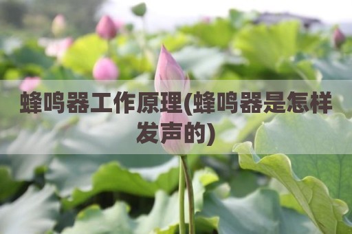 蜂鸣器工作原理(蜂鸣器是怎样发声的)