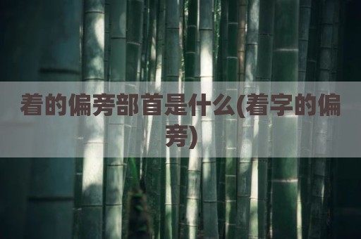 着的偏旁部首是什么(着字的偏旁)