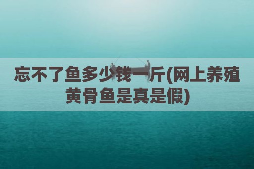 忘不了鱼多少钱一斤(网上养殖黄骨鱼是真是假)