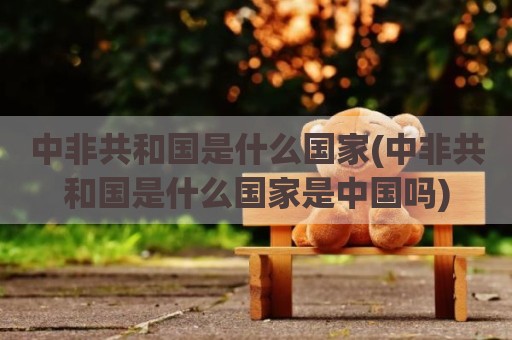 中非共和国是什么国家(中非共和国是什么国家是中国吗)