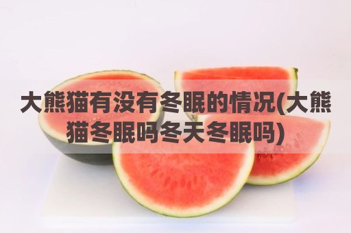 大熊猫有没有冬眠的情况(大熊猫冬眠吗冬天冬眠吗)