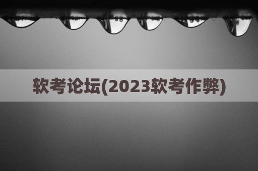 软考论坛(2023软考作弊)