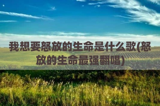 我想要怒放的生命是什么歌(怒放的生命最强翻唱)