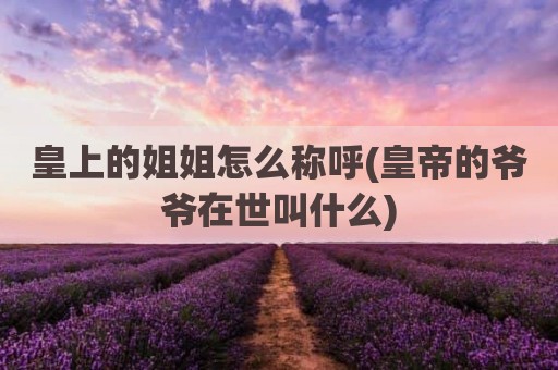皇上的姐姐怎么称呼(皇帝的爷爷在世叫什么)
