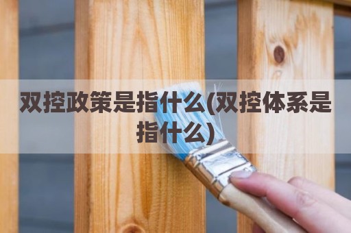 双控政策是指什么(双控体系是指什么)