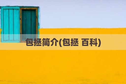包拯简介(包拯 百科)