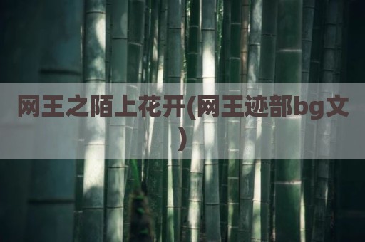 网王之陌上花开(网王迹部bg文)
