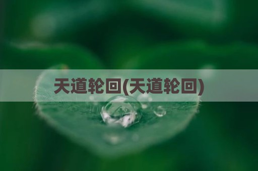 天道轮回(天道轮回)