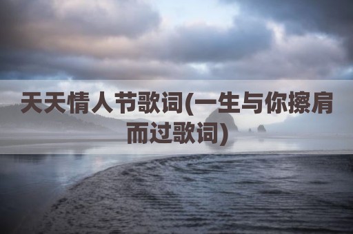 天天情人节歌词(一生与你擦肩而过歌词)