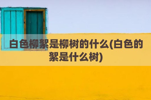 白色柳絮是柳树的什么(白色的絮是什么树)