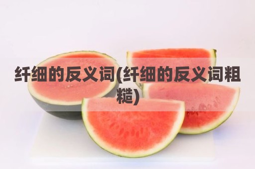 纤细的反义词(纤细的反义词粗糙)