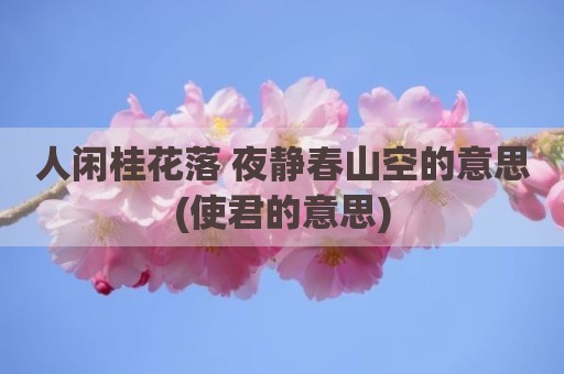 人闲桂花落 夜静春山空的意思(使君的意思)