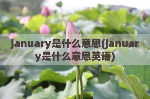 january是什么意思(january是什么意思英语)