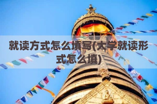就读方式怎么填写(大学就读形式怎么填)