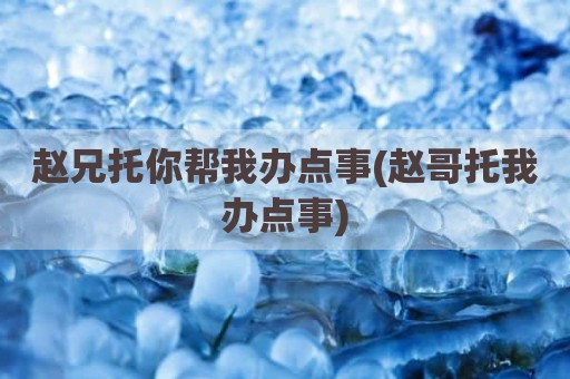 赵兄托你帮我办点事(赵哥托我办点事)