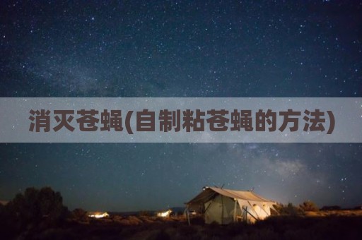 消灭苍蝇(自制粘苍蝇的方法)