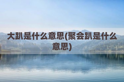 大趴是什么意思(聚会趴是什么意思)