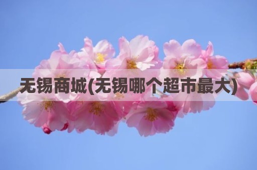 无锡商城(无锡哪个超市最大)