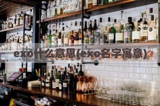 exo什么意思(exo名字寓意)