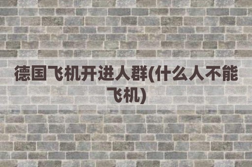 德国飞机开进人群(什么人不能飞机)