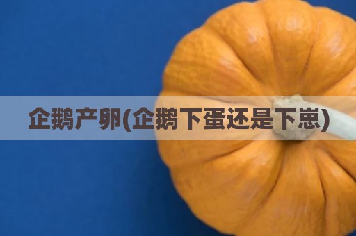 企鹅产卵(企鹅下蛋还是下崽)