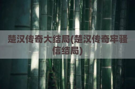 楚汉传奇大结局(楚汉传奇牢骚信结局)