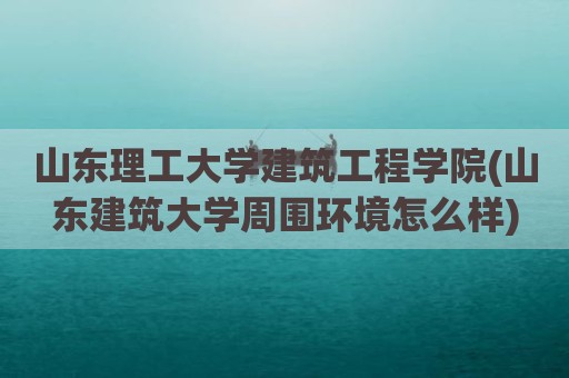 山东理工大学建筑工程学院(山东建筑大学周围环境怎么样)