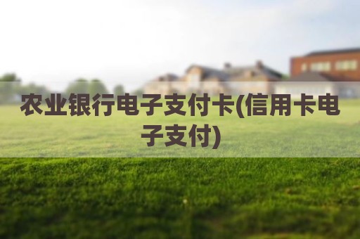 农业银行电子支付卡(信用卡电子支付)