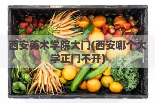 西安美术学院大门(西安哪个大学正门不开)