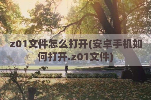 z01文件怎么打开(安卓手机如何打开.z01文件)