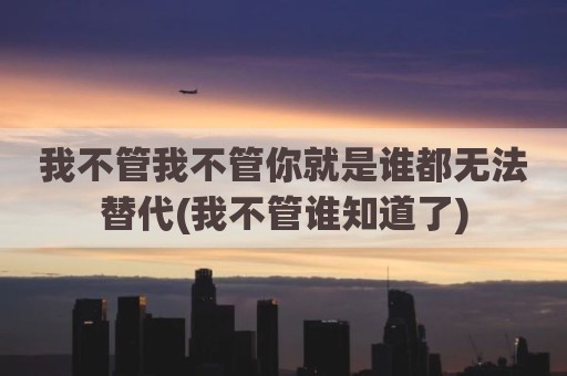 我不管我不管你就是谁都无法替代(我不管谁知道了)