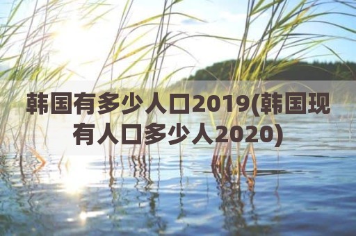 韩国有多少人口2019(韩国现有人口多少人2020)