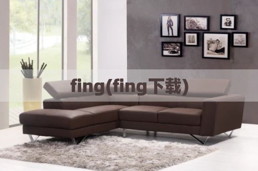 fing(fing下载)