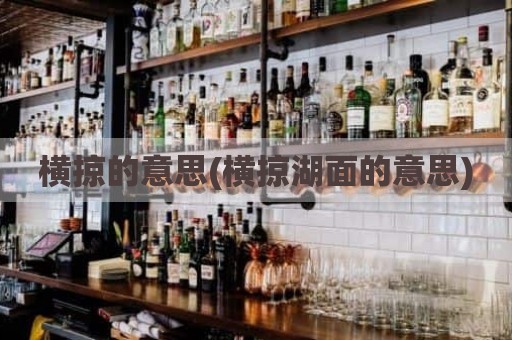 横掠的意思(横掠湖面的意思)