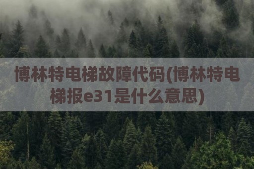 博林特电梯故障代码(博林特电梯报e31是什么意思)
