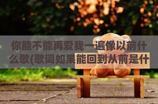 你能不能再爱我一遍像以前什么歌(歌词如果能回到从前是什么歌)