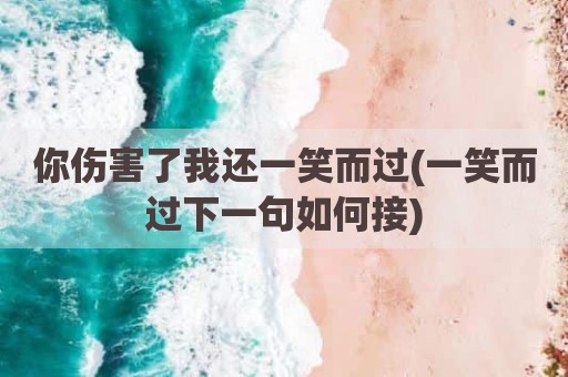 你伤害了我还一笑而过(一笑而过下一句如何接)