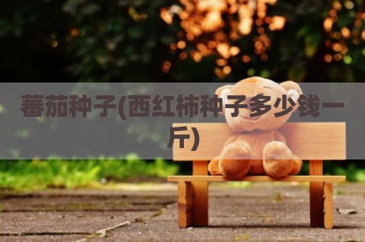 蕃茄种子(西红柿种子多少钱一斤)