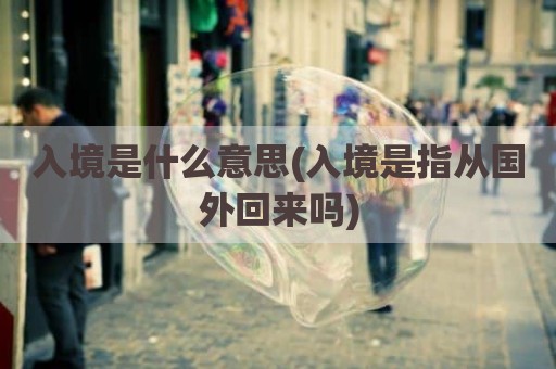 入境是什么意思(入境是指从国外回来吗)