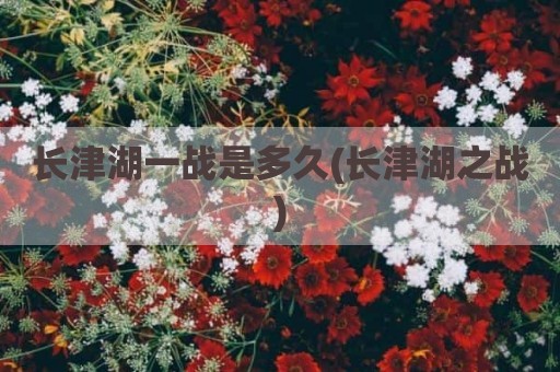 长津湖一战是多久(长津湖之战)